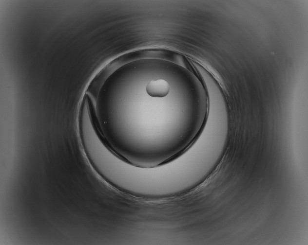 X0000095131484200712141146