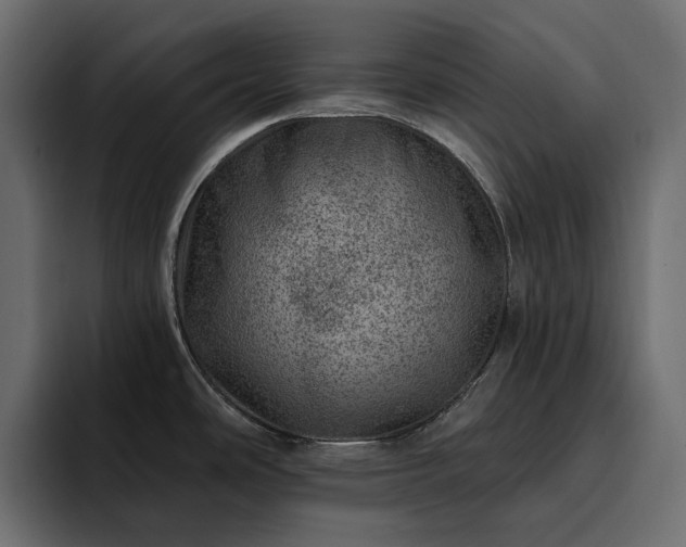 X0000095131486200712141146