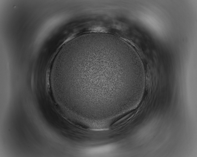 X0000095131487200712141146