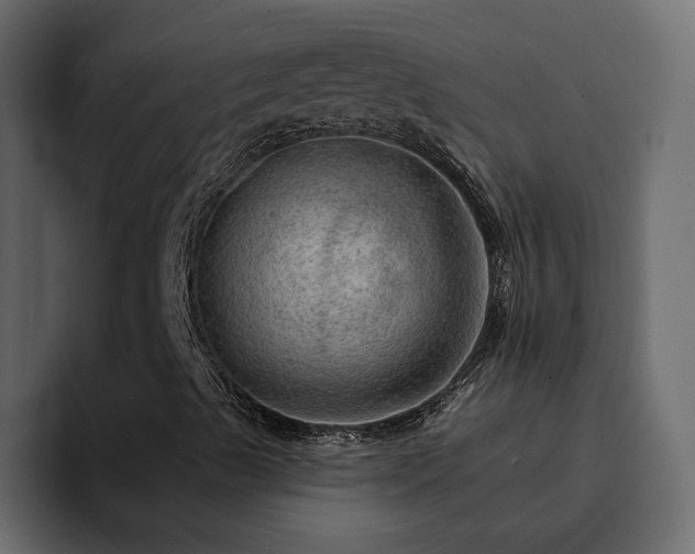 X0000095131489200712141145