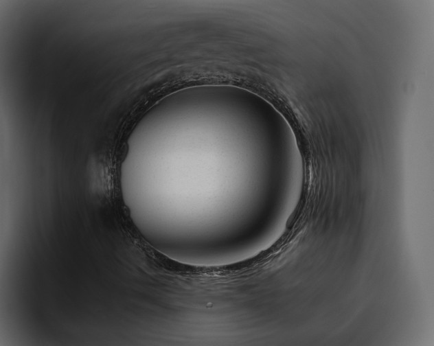 X0000095131490200712141145