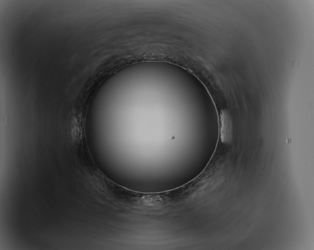 X0000095131491200712141145