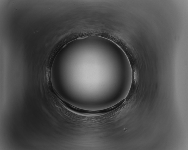 X0000095131492200712141146