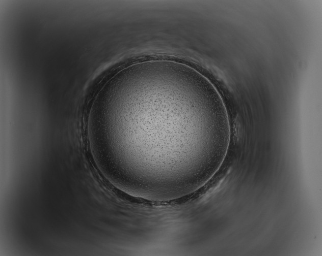 X0000095131494200712141146