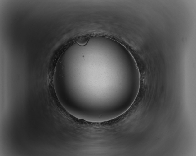 X0000095131495200712141146