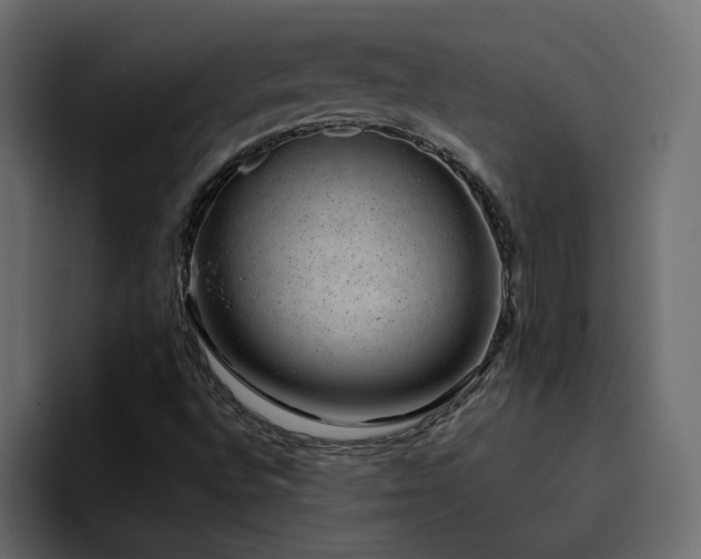 X0000095131496200712141146