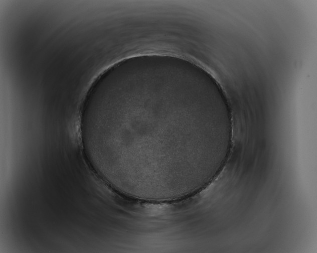 X0000095131498200712141146