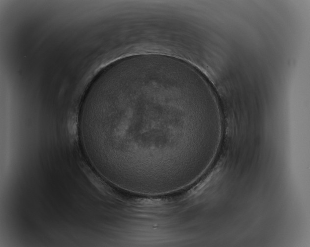 X0000095131499200712141146