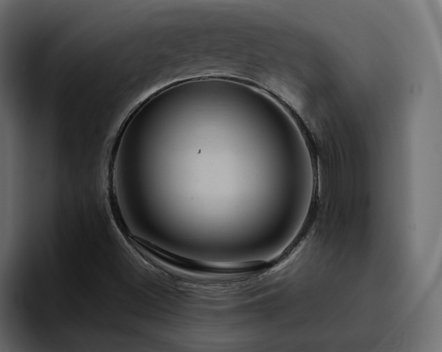 X0000095131500200712141146