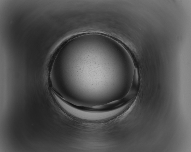 X0000095131502200712141146