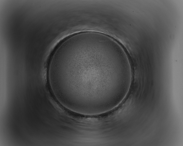 X0000095131503200712141146