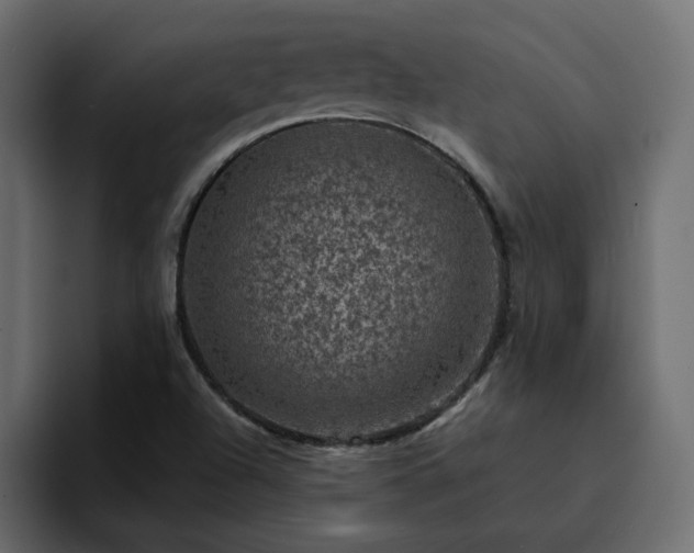 X0000095131504200712141146