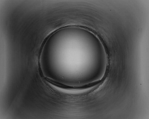 X0000095131505200712141146