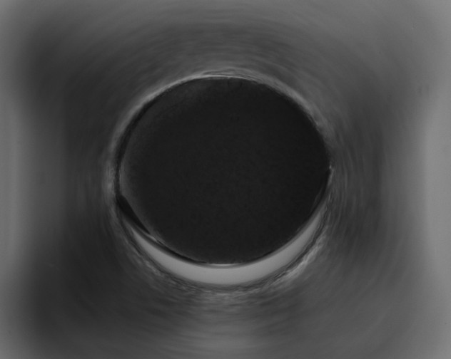 X0000095131506200712141146