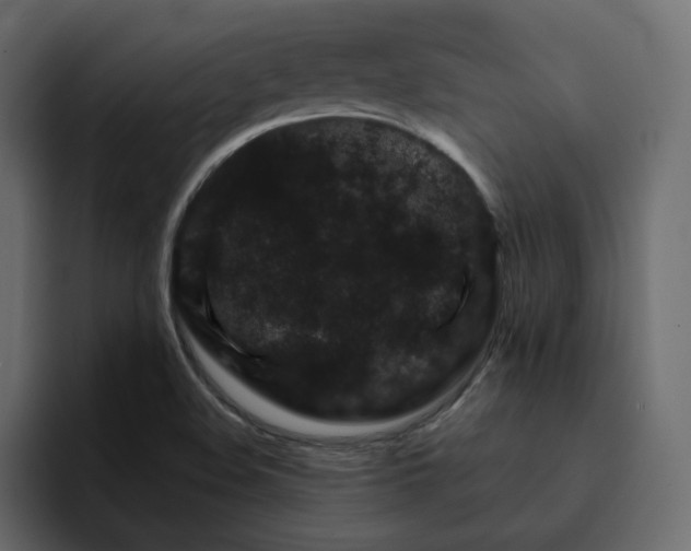 X0000095131508200712141146