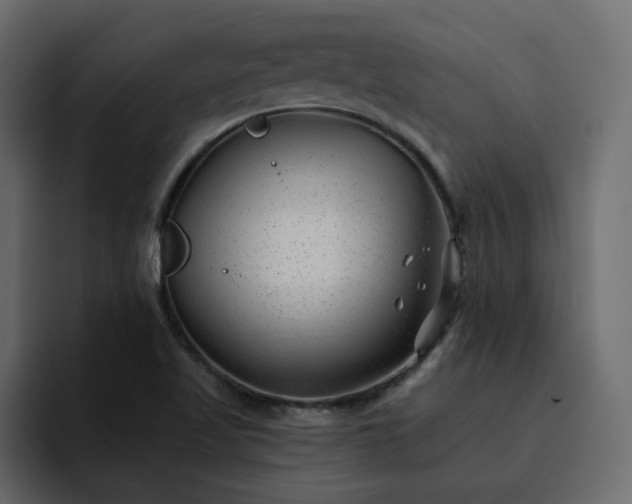 X0000095131509200712141146