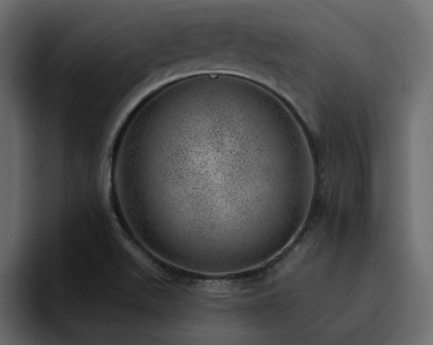 X0000095131511200712141146