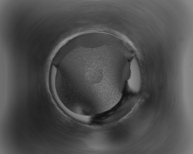 X0000095131512200712141146