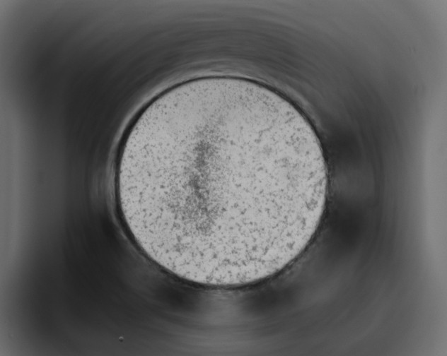 X0000095131514200712141146