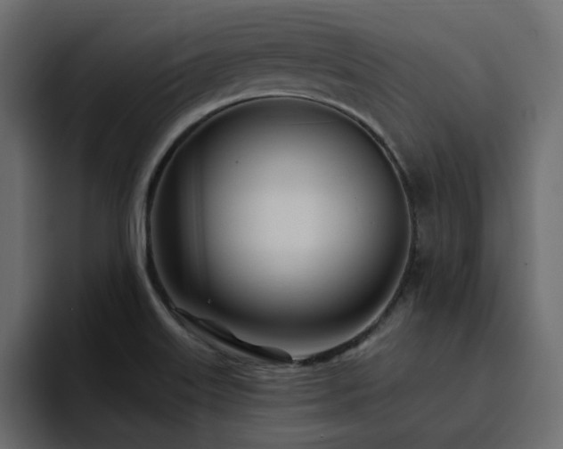 X0000095131515200712141146