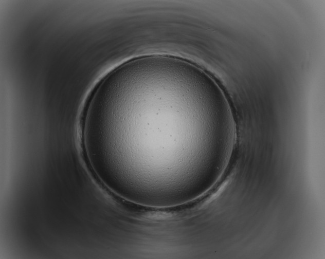 X0000095131517200712141146