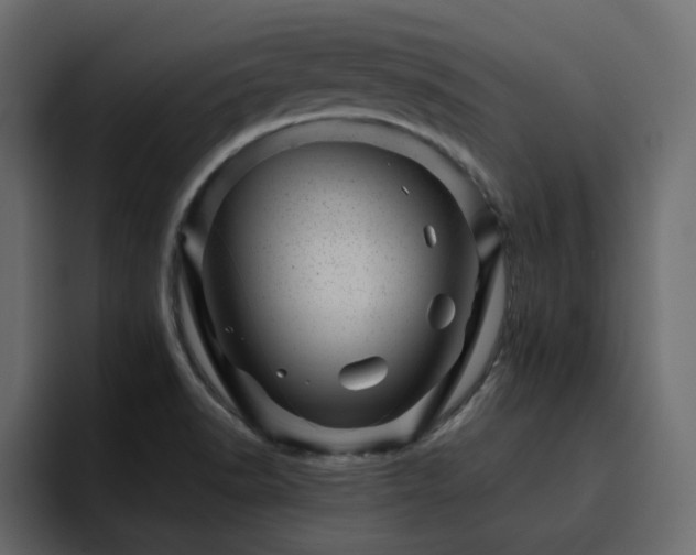 X0000095131518200712141146