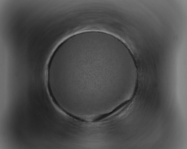 X0000095131519200712141146