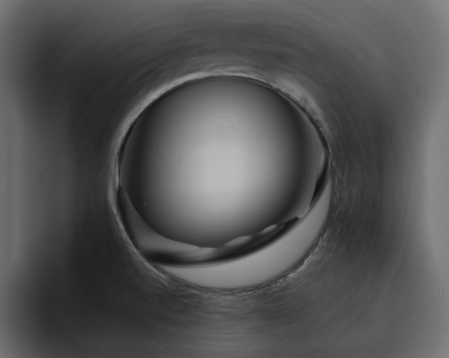 X0000095131520200712141146