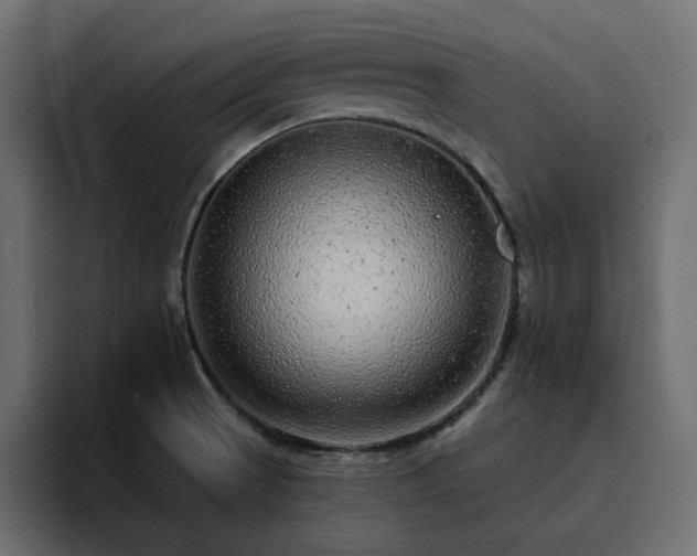 X0000095131521200712141146