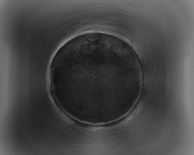 X0000095131522200712141146