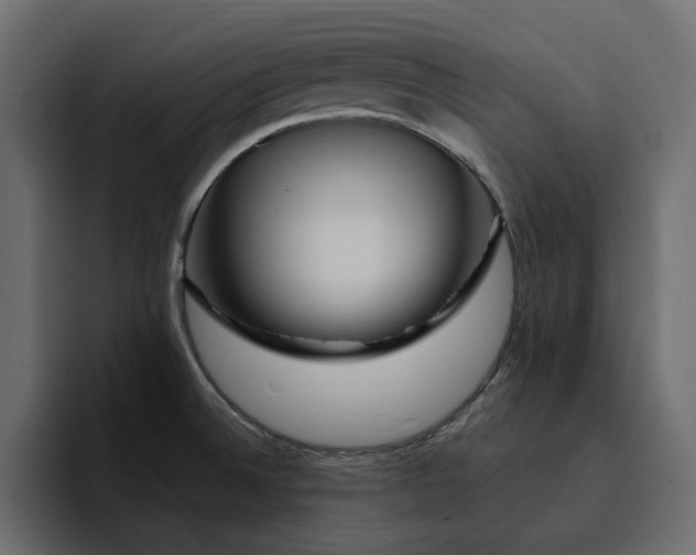 X0000095131524200712141146