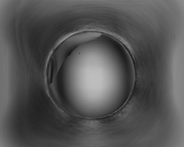 X0000095131525200712141146