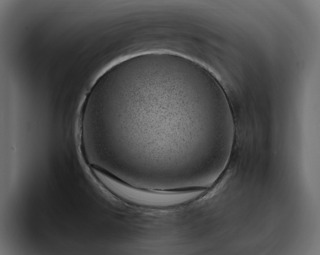 X0000095131526200712141146