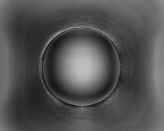 X0000095131527200712141146