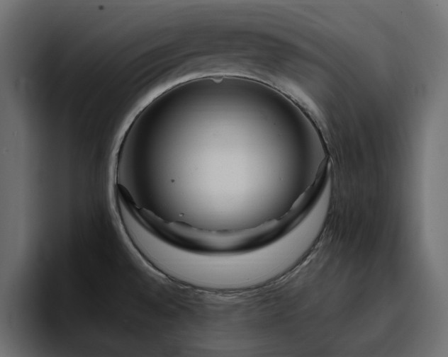 X0000095131528200712141146