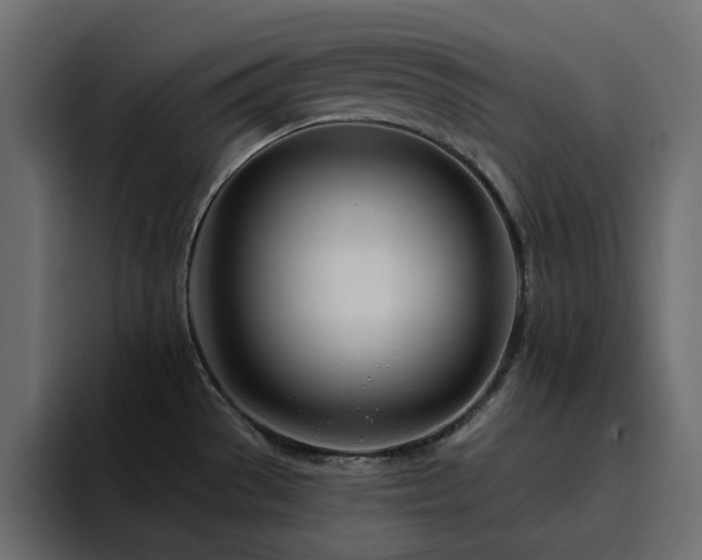 X0000095131529200712141146