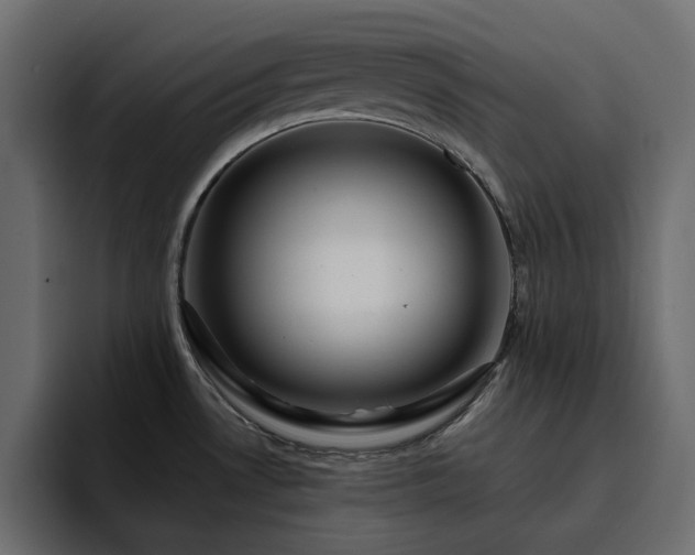 X0000095131530200712141146