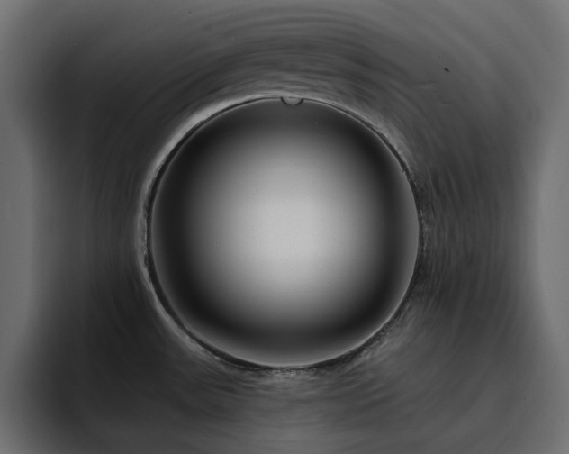 X0000095131531200712141146