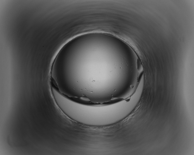 X0000095131532200712141146