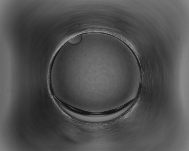 X0000095131533200712141146