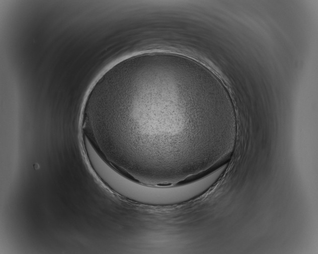 X0000095131536200712141146