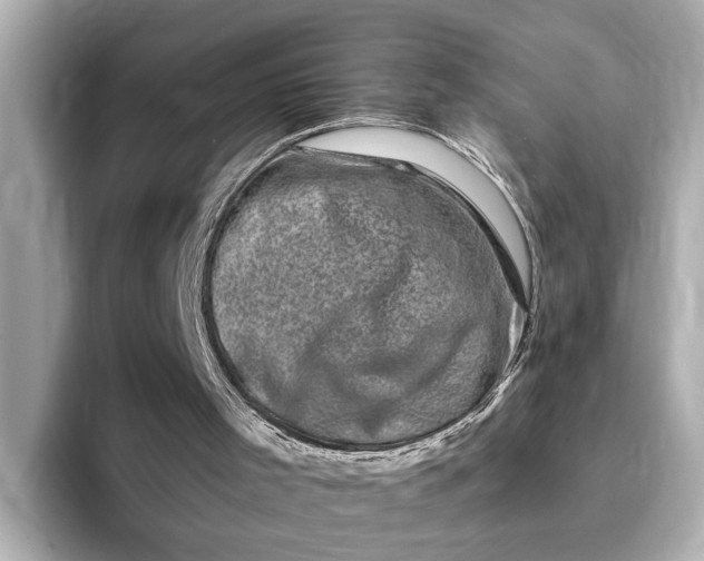 X0000095130001200712211339