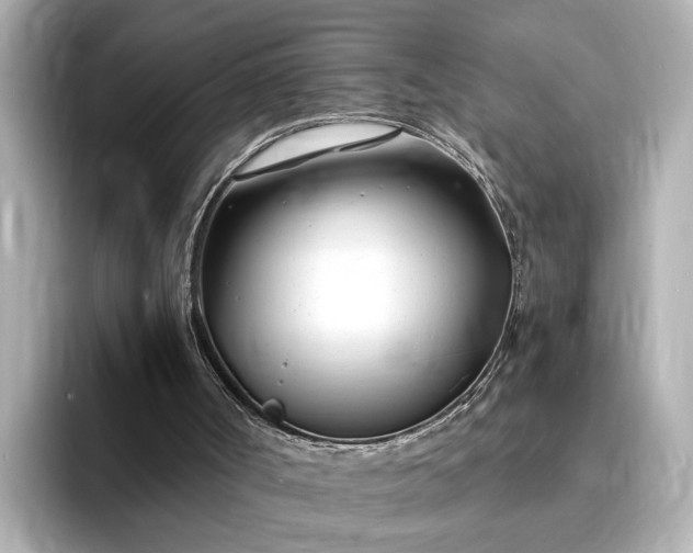 X0000095130002200712211339