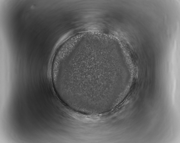 X0000095130004200712211339