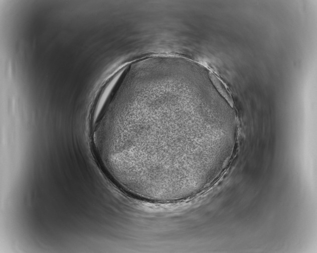 X0000095130005200712211339