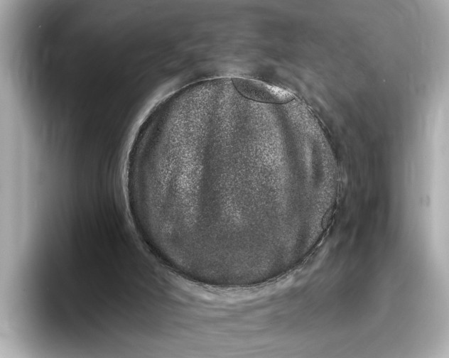 X0000095130006200712211339