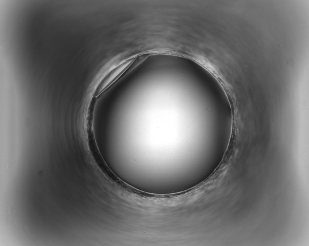 X0000095130007200712211339