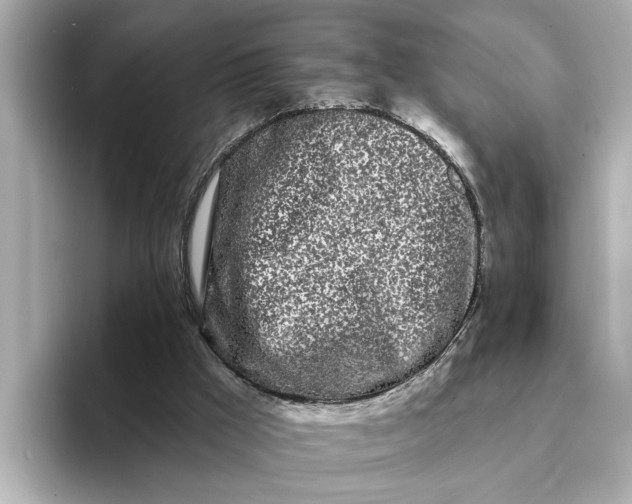 X0000095130009200712211339