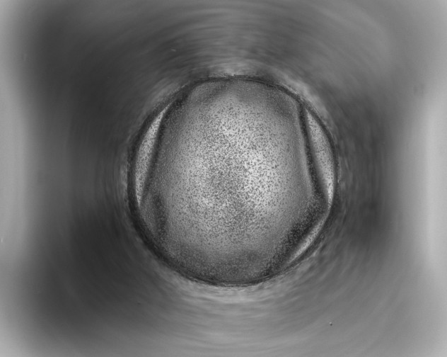 X0000095130010200712211339