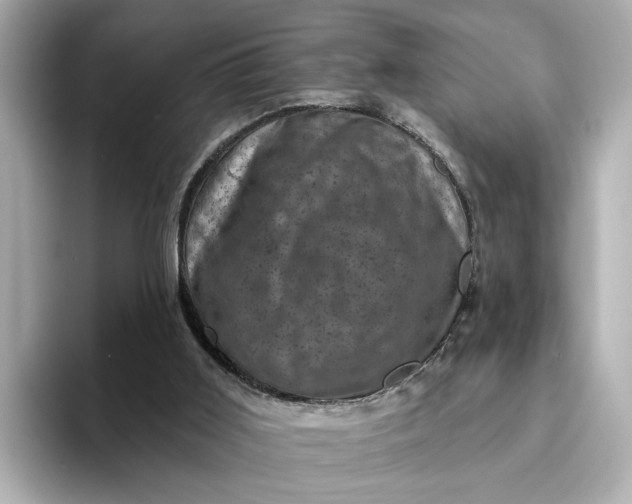 X0000095130011200712211339